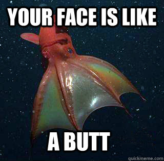 your face is like a butt - Bad Simile Squid