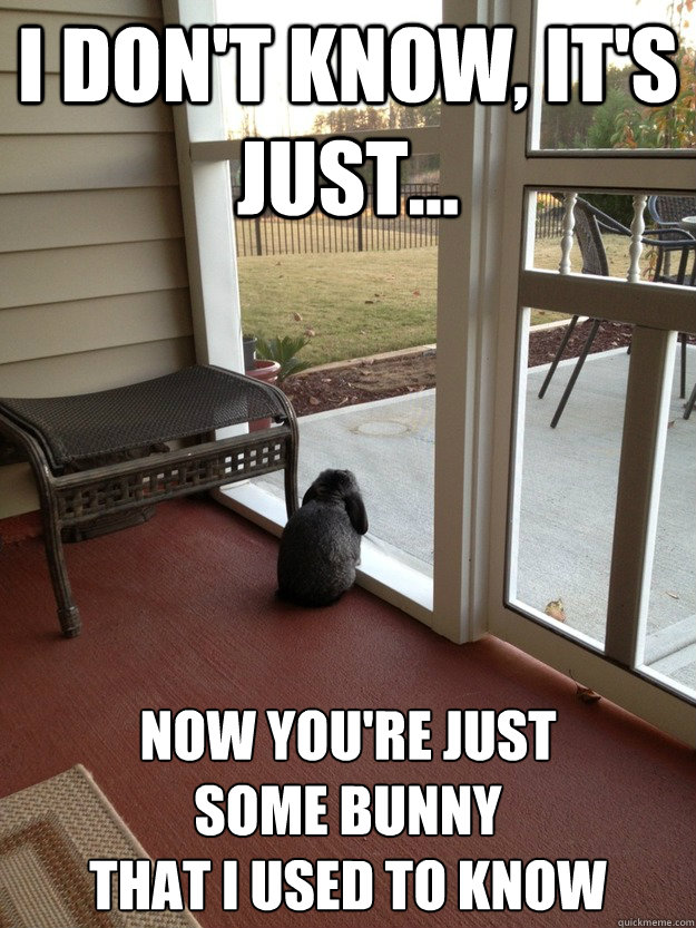 i dont know its just now youre just some bunny that - Facing Reality Bunny