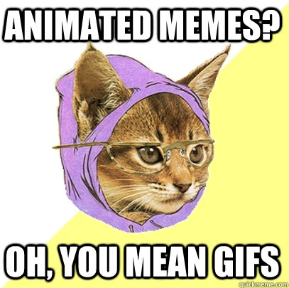 animated memes oh you mean gifs - Hipster Kitty
