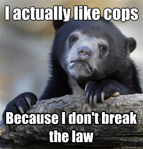 i actually like cops because i dont break the law - Confession Bear