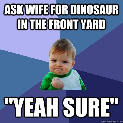 ask wife for dinosaur in the front yard yeah sure - Success Kid