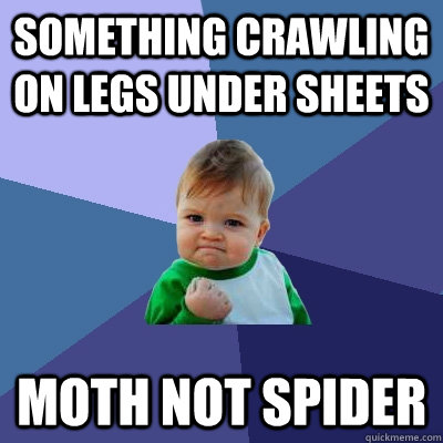 something crawling on legs under sheets moth not spider - Success Kid