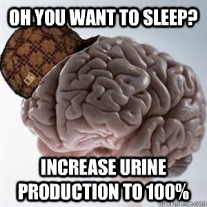 oh you want to sleep increase urine production to 100 - Scumbag brain
