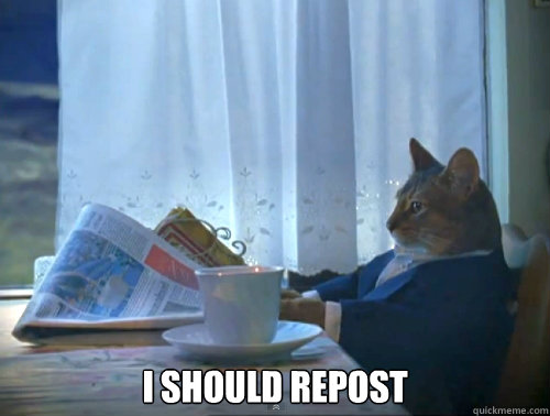 i should repost - The One Percent Cat
