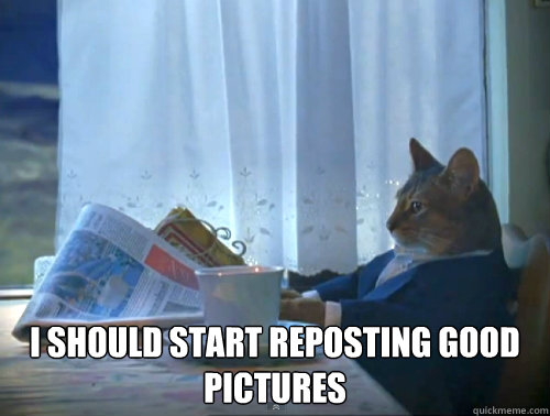 i should start reposting good pictures - The One Percent Cat