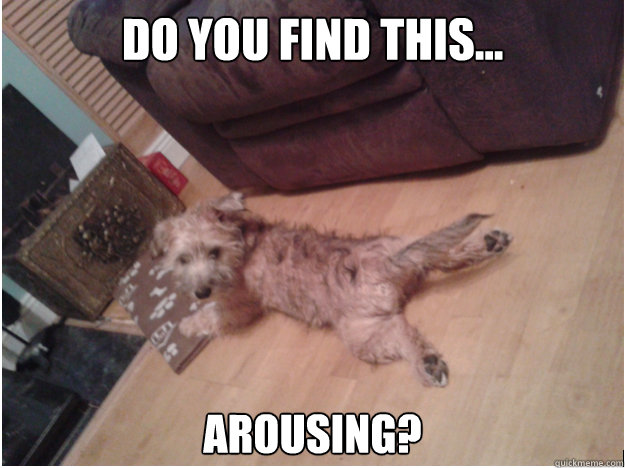do you find this arousing -