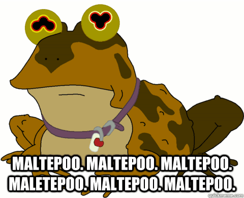 maltepoo maltepoo maltepoo maletepoo maltepoo maltepoo - Hypnotoad GIF