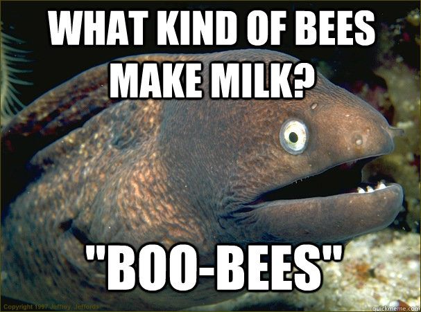 what kind of bees make milk boobees - Bad Joke Eel