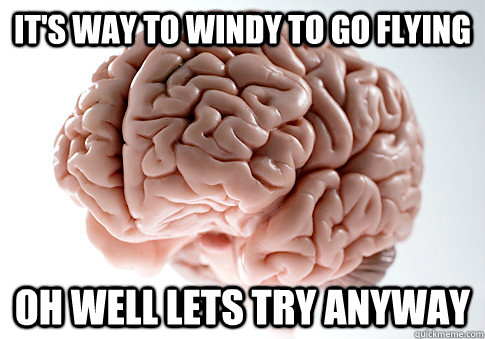its way to windy to go flying oh well lets try anyway - Scumbag Brain
