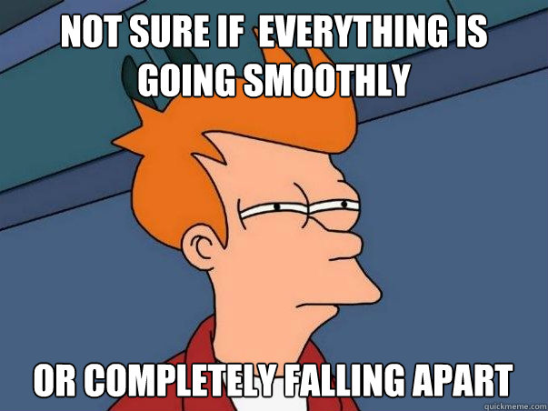 not sure if everything is going smoothly or completely fall - not sure fry