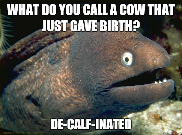 What do you call that just gave birth Decalfinated - Bad Joke Eel