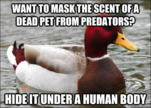 want to mask the scent of a dead pet from predators hide it - Malicious Advice Mallard