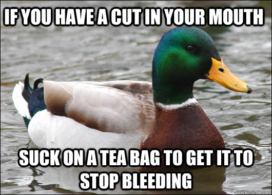if you have a cut in your mouth suck on a tea bag to get it - Actual Advice Mallard