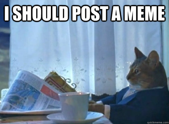 i should post a meme -