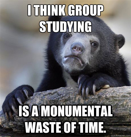 i think group studying is a monumental waste of time - Confession Bear