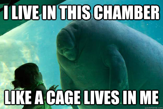 i live in this chamber like a cage lives in me - Overlord Manatee