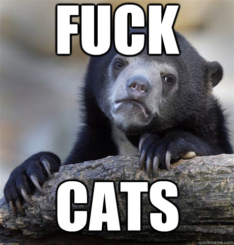 fuck cats - Confession Bear