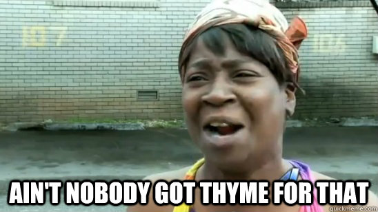 aint nobody got thyme for that - aint nobody got time for that