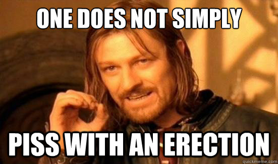 one does not simply piss with an erection - Boromir