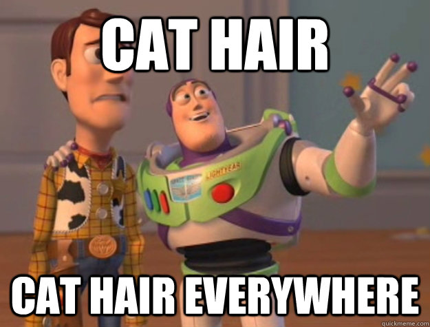 cat hair cat hair everywhere - Buzz Lightyear