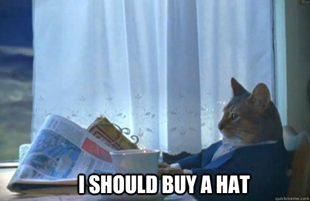i should buy a hat - Sophisticated Cat