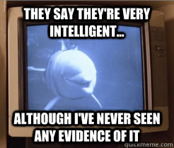 they say theyre very intelligent although ive never see - Doubtful Steve Zissou