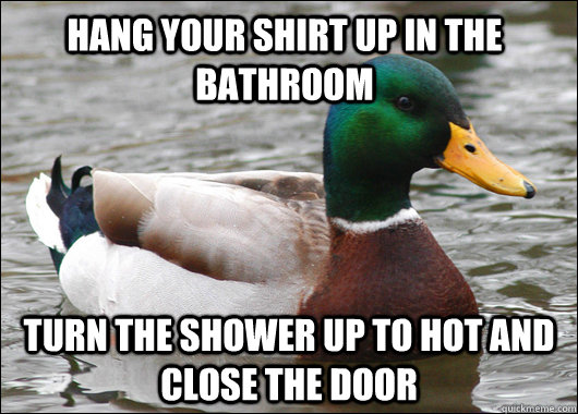 hang your shirt up in the bathroom turn the shower up to hot - Actual Advice Mallard