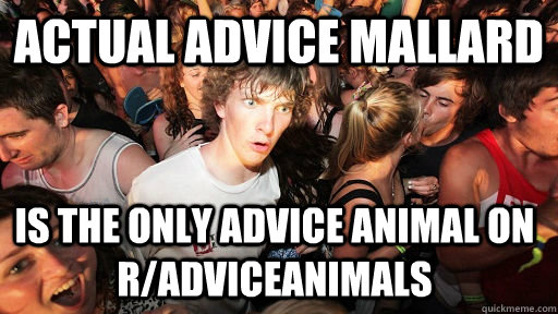 actual advice mallard is the only advice animal on radvicea - Sudden Clarity Clarence