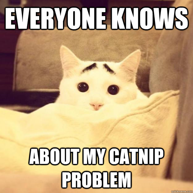 everyone knows about my catnip problem -