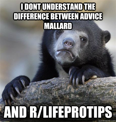 i dont understand the difference between advice mallard and - Confession Bear