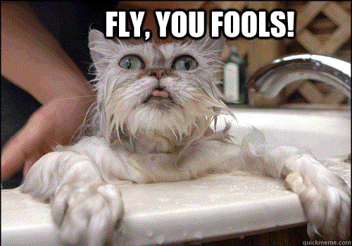 fly you fools -