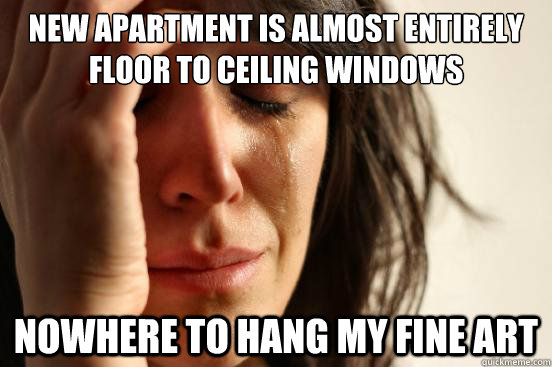 new apartment is almost entirely floor to ceiling windows no - First World Problems