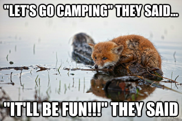 lets go camping they said itll be fun they said -
