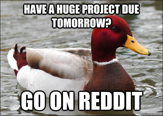have a huge project due tomorrow go on reddit - Malicious Advice Mallard