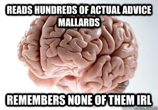 reads hundreds of actual advice mallards remembers none of - Scumbag Brain Strikes Again!