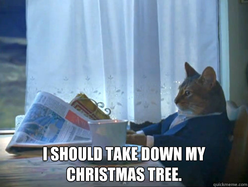 i should take down my christmas tree - The One Percent Cat
