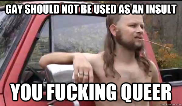 gay should not be used as an insult you fucking queer - Almost Politically Correct Redneck