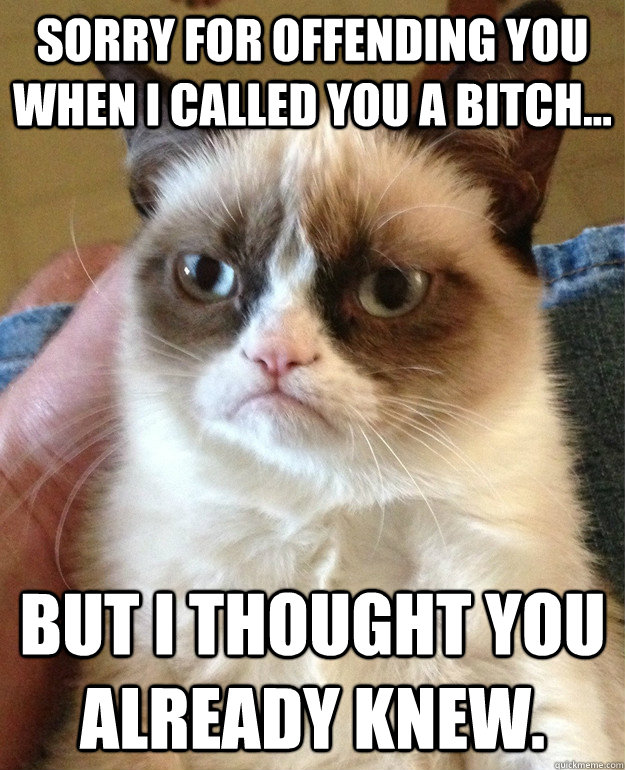 sorry for offending you when i called you a bitch but i t - Grumpy cat