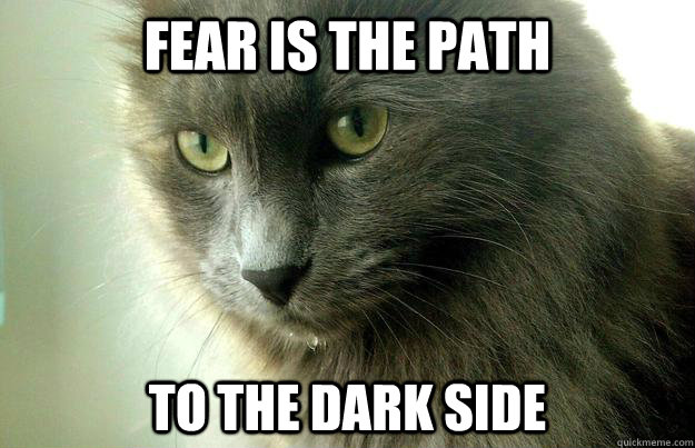 fear is the path to the dark side - Yoda Cat