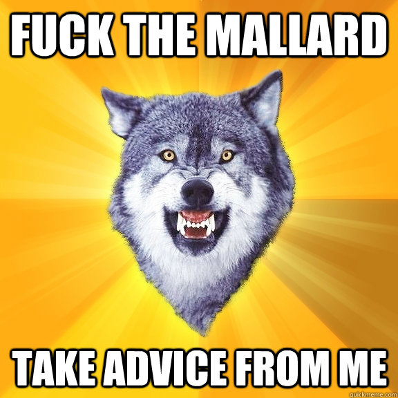 fuck the mallard take advice from me - Courage Wolf