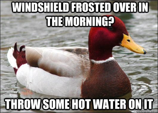 windshield frosted over in the morning throw some hot water - Malicious Advice Mallard