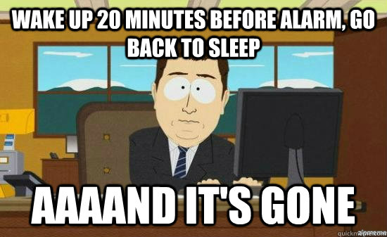 wake up 20 minutes before alarm go back to sleep aaaand it - aaaand its gone
