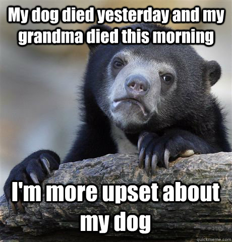 my dog died yesterday and my grandma died this morning im m - Confession Bear