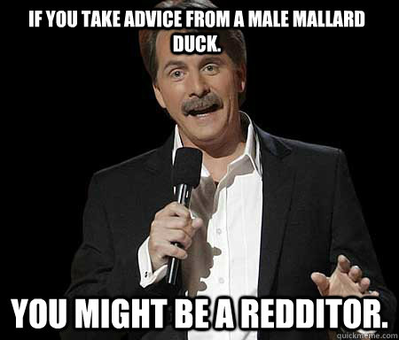 if you take advice from a male mallard duck you might be a - Jeff Foxworthy, You know youre a