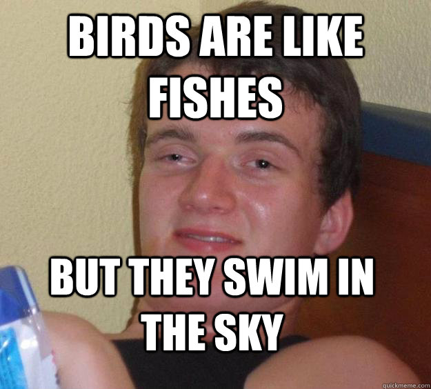 birds are like fishes but they swim in the sky - 10 Guy
