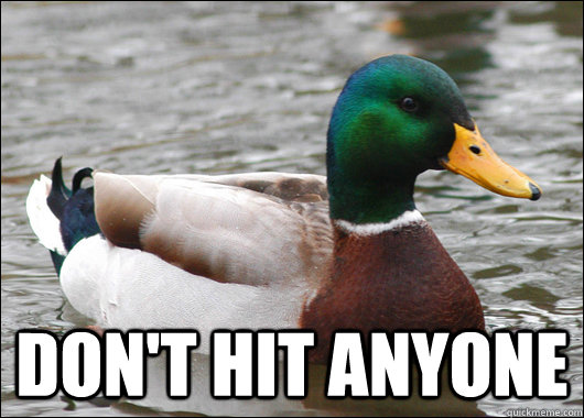 dont hit anyone - Actual Advice Mallard