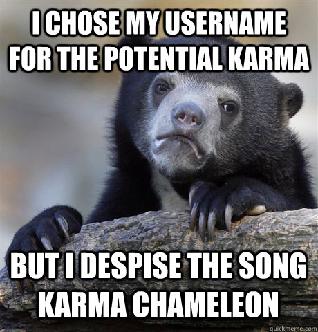 i chose my username for the potential karma but i despise th - Confession Bear
