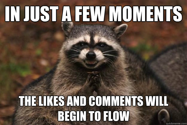 in just a few moments the likes and comments will begin to f - Evil Plotting Raccoon
