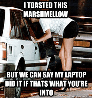 i toasted this marshmellow but we can say my laptop did it i - Karma Whore