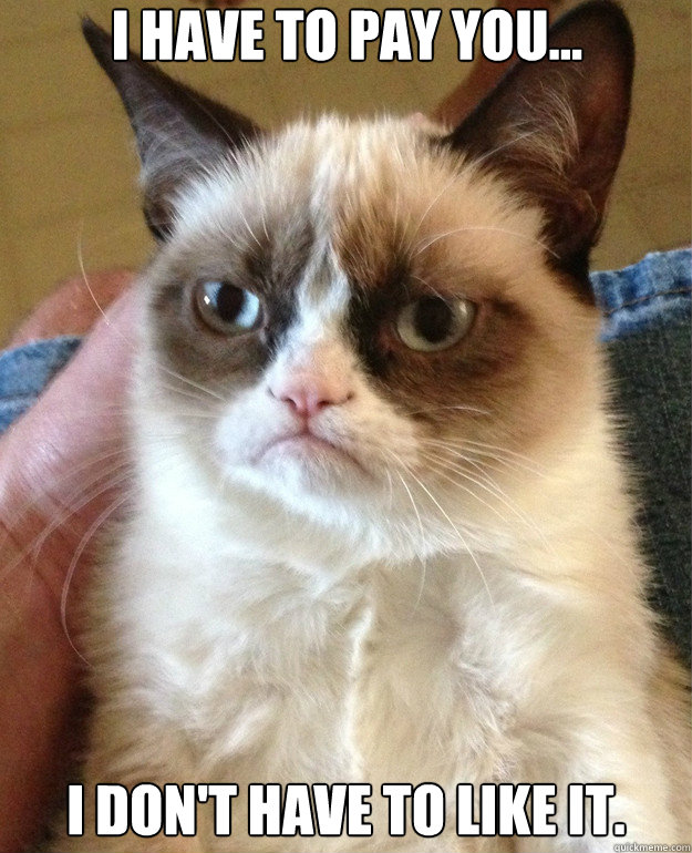 i have to pay you i dont have to like it - Grumpy Cat